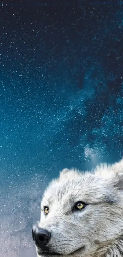 White wolf beneath a starry night sky wallpaper.