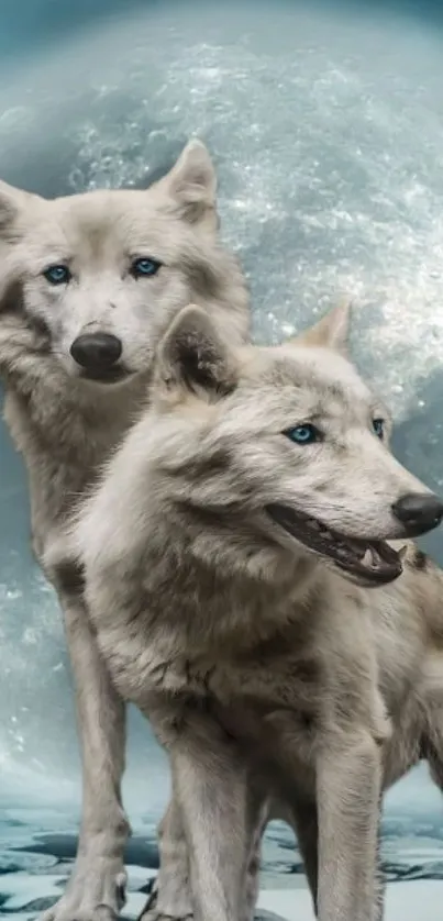 Two wolves with blue eyes under a bright moonlit night sky.