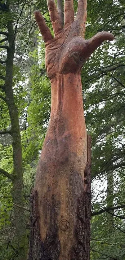 Wooden hand sculpture reaching in a lush green forest setting.