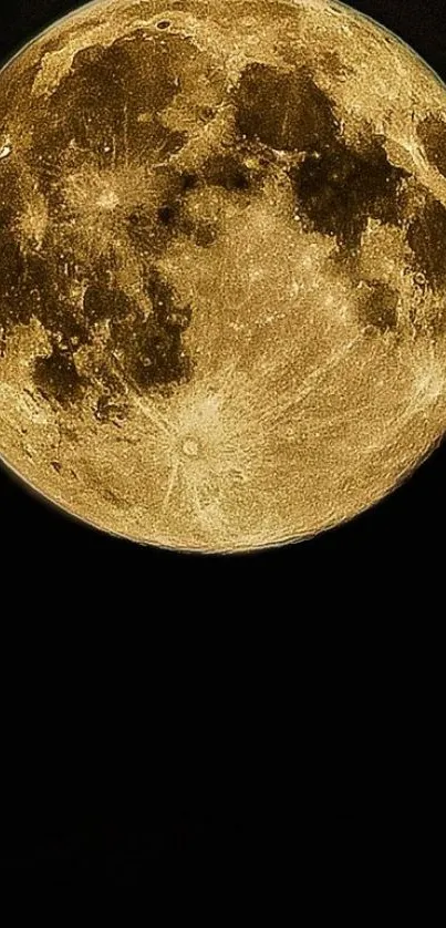 World Astronomy Moon Live Wallpaper