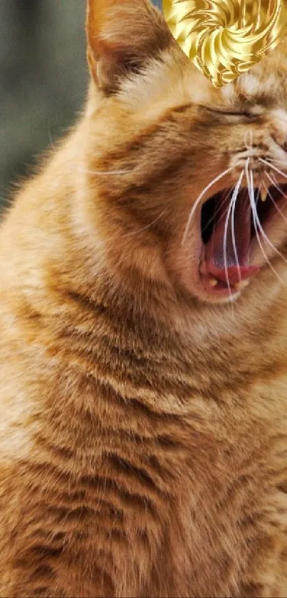 Yawning orange tabby cat with a playful expression, perfect for mobile screens.