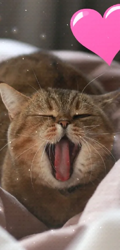 Yawning cat with pink heart on cozy blankets.