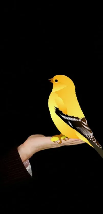 Yellow bird on hand with glowing candle in darkness.