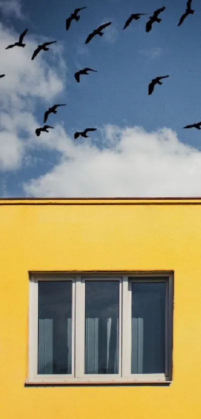 Yellow building with window and birds in blue sky wallpaper.