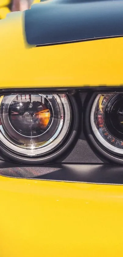 Close-up of a yellow car's sleek headlights, perfect for automotive enthusiasts.