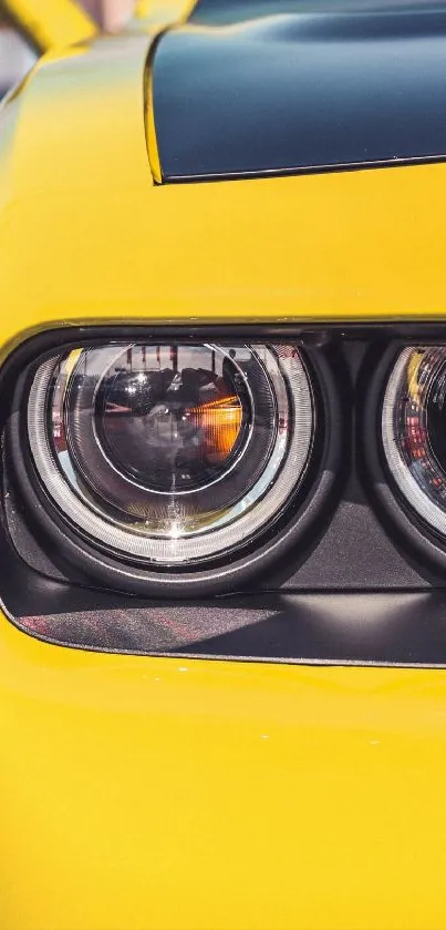 Close-up of a yellow car's sleek headlight.