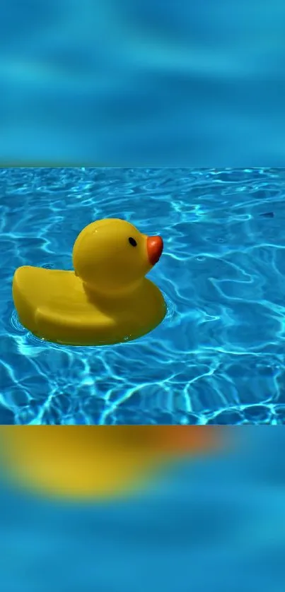 Yellow rubber duck floating in a blue pool.