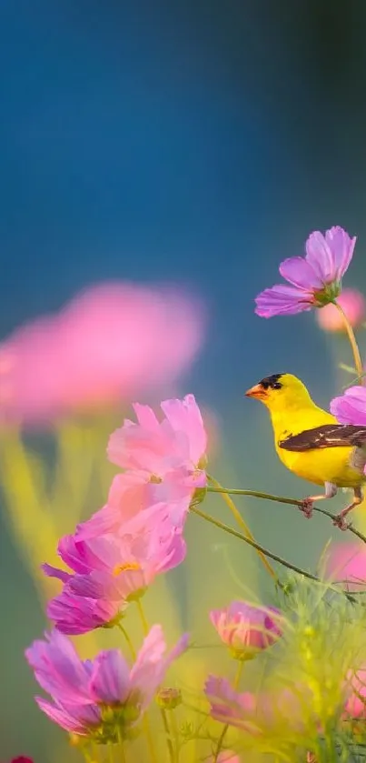 Yellow finch perched amidst pink flowers with a blue backdrop.