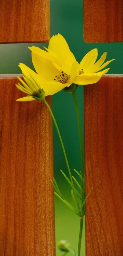 Yellow flower against a wooden cross, creating a serene and peaceful wallpaper.