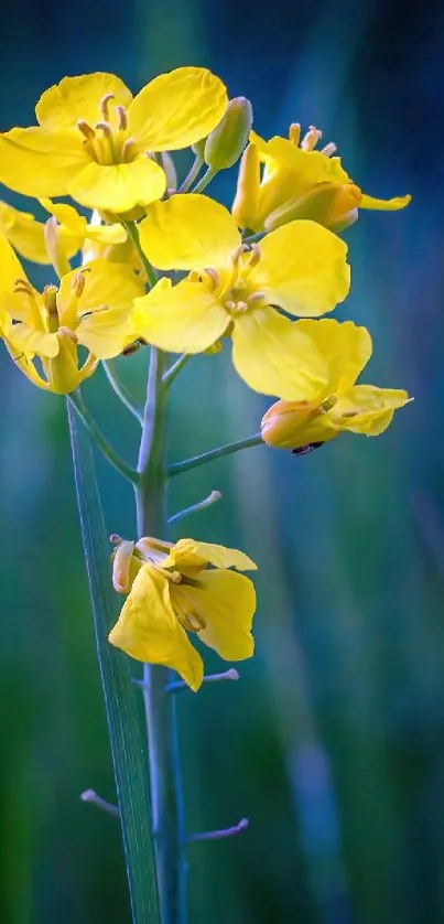 Brilliant yellow flower against a green, tranquil nature backdrop.