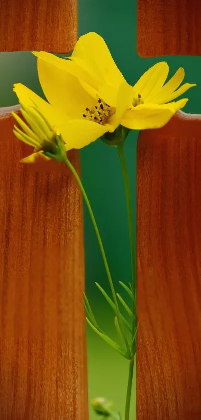 Yellow flower emerging between warm wooden panels.