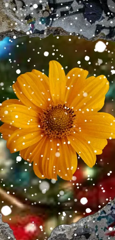 Yellow flower with snowflakes on artistic background.