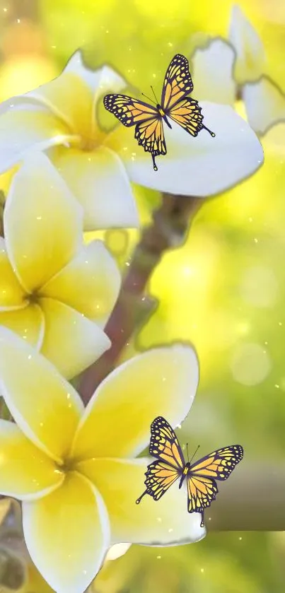 Yellow frangipani flowers with butterflies on a vibrant nature backdrop.