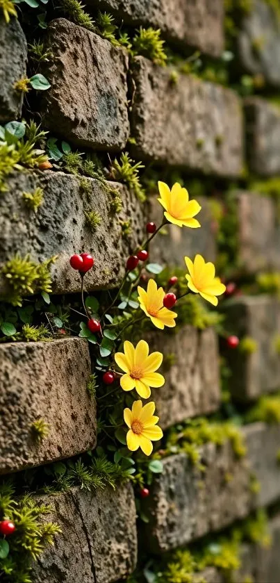 Yellow flowers and moss on a brick wall.