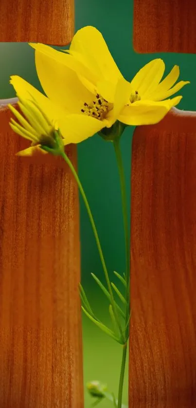 Vibrant yellow flowers against wood and green backdrop for mobile wallpaper.