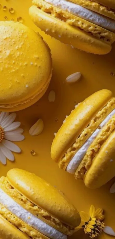 Yellow macarons and daisies on a bright background.