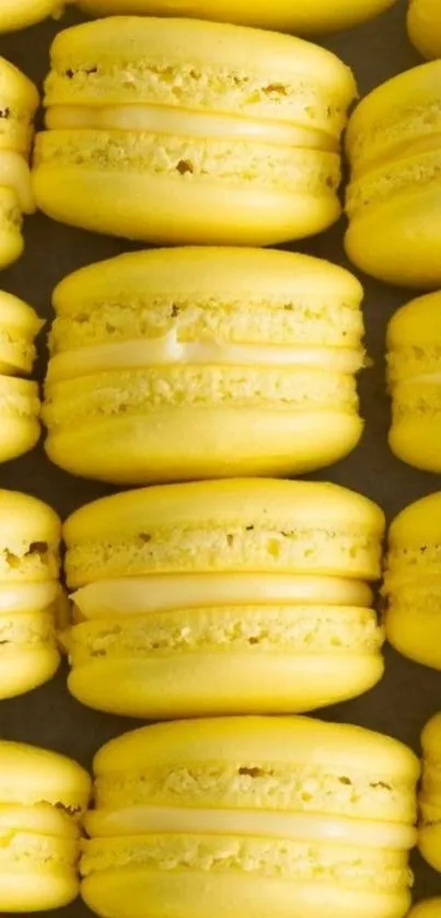 Bright yellow macaron wallpaper for mobile screens.