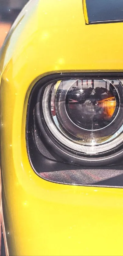 Close-up of a yellow muscle car featuring sleek design elements.