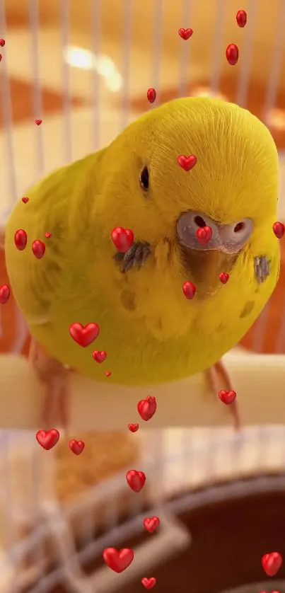 Yellow parakeet surrounded by red hearts on a perch.