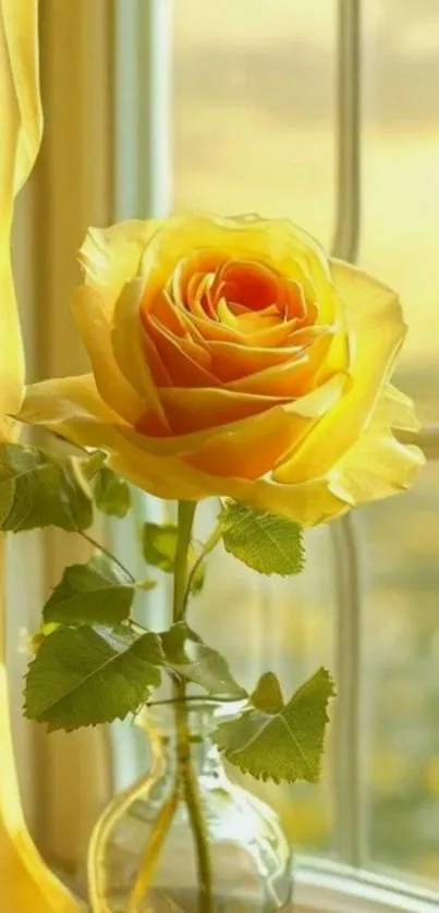 Yellow rose by a bright window, vibrant and elegant.