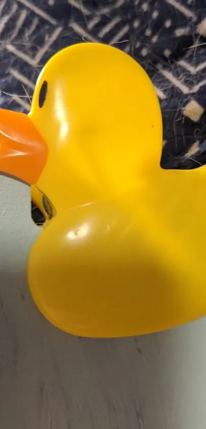 Yellow rubber duck on a colorful background.