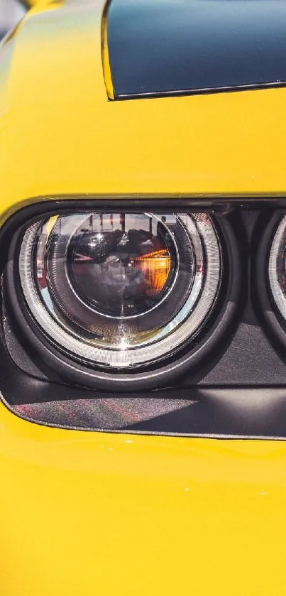 Close-up of a vibrant yellow sports car headlight