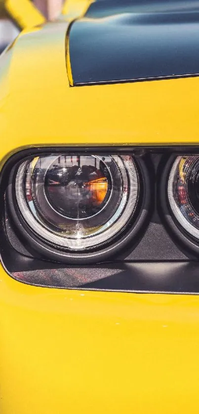 Closeup of a yellow sports car headlight.