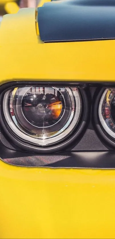 Close-up of a shiny yellow sports car's headlight.