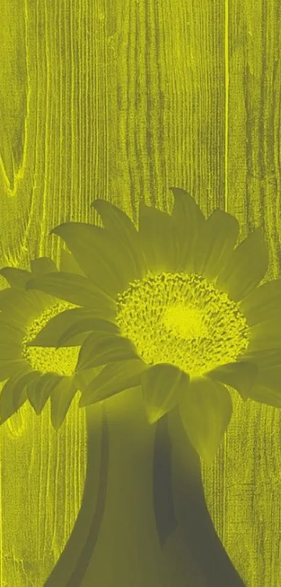 Yellow sunflower against a wood backdrop wallpaper.