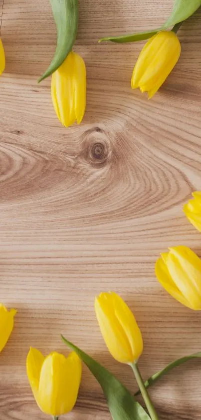 Yellow tulips on a wooden texture background, arranged in a circular pattern.