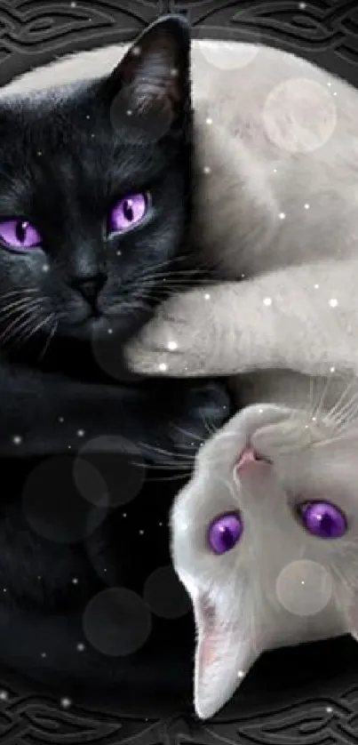 Yin Yang cats with purple eyes in black and white design wallpaper.