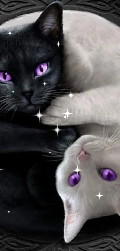 Yin Yang cats with purple eyes in Celtic design.