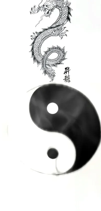 Yin Yang symbol and dragon on minimalist white background.