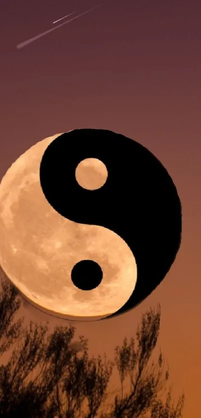 Yin Yang symbol against a tranquil moonlit sky.