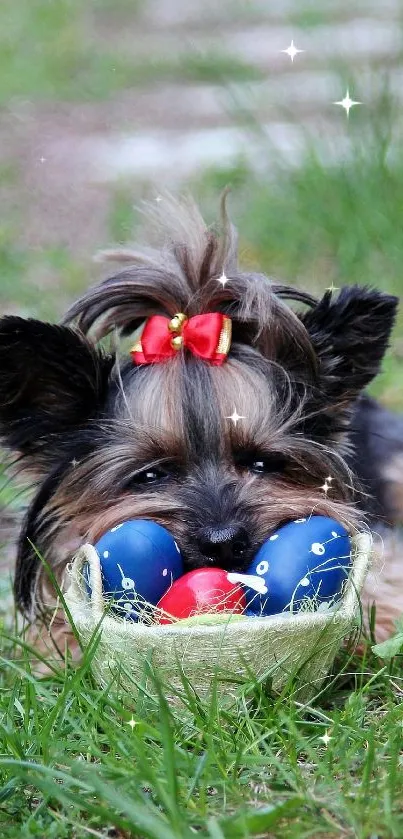 Yorkie with red bow and toys on grass.