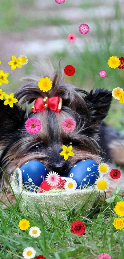 Yorkie dog with Easter eggs on green grass