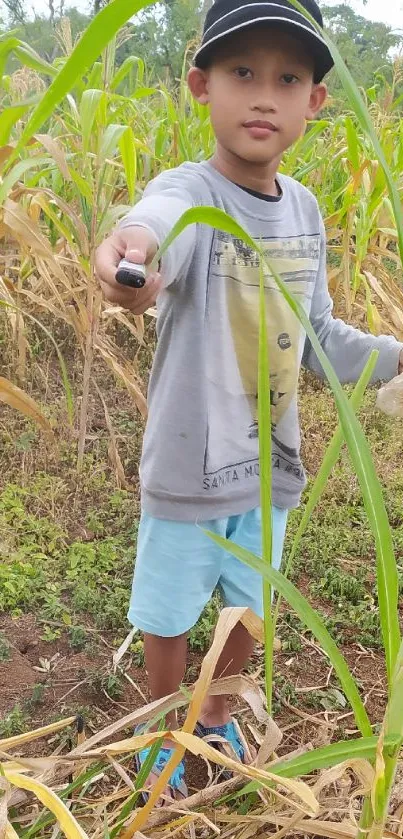 Child exploring a green cornfield, holding a camera.