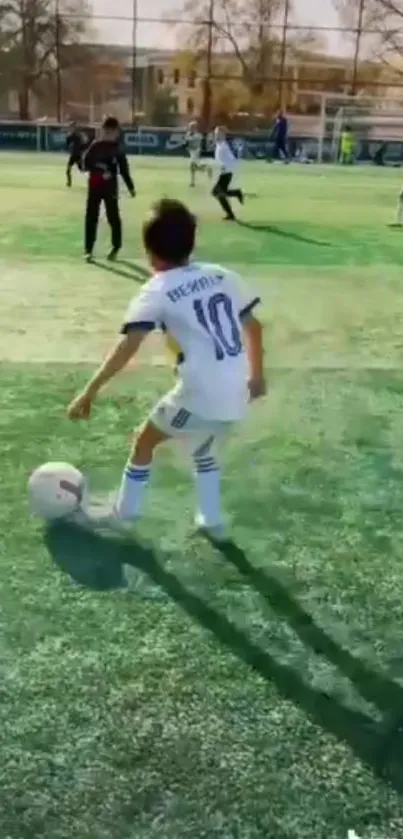 Youth soccer players on a green field.