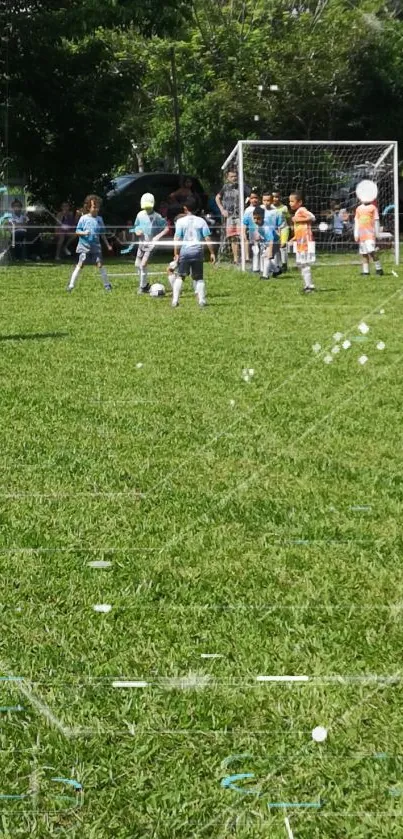 Kids play soccer on a lush green field.