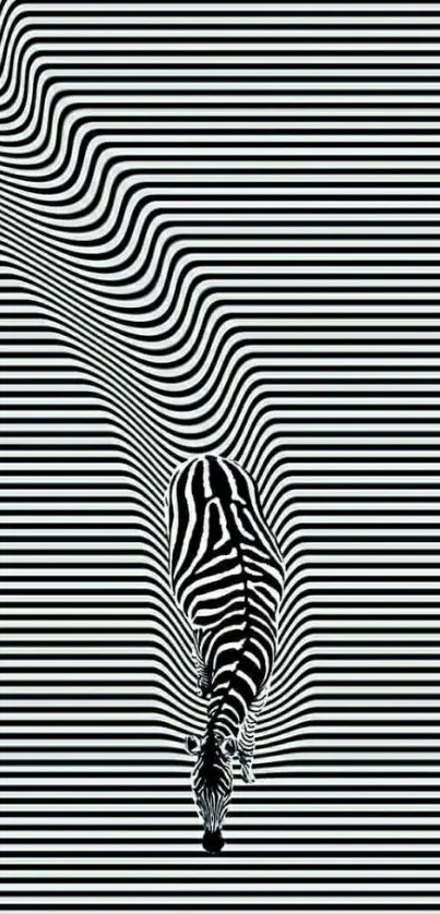 Zebra optical illusion with black and white stripes creating mesmerizing art.