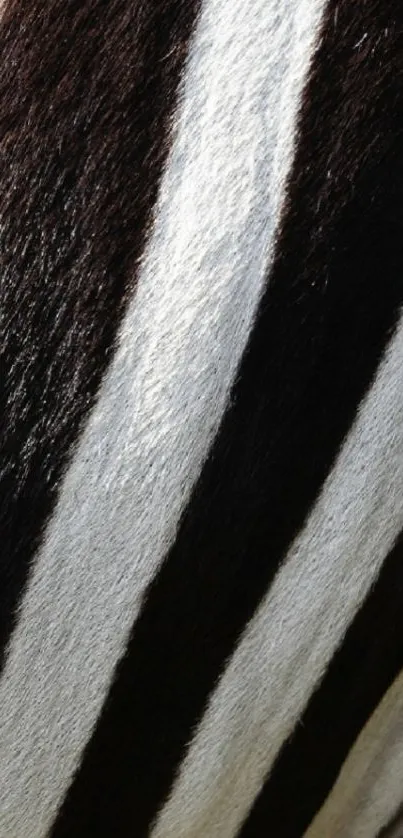 Close-up of zebra stripe pattern wallpaper in black and white.