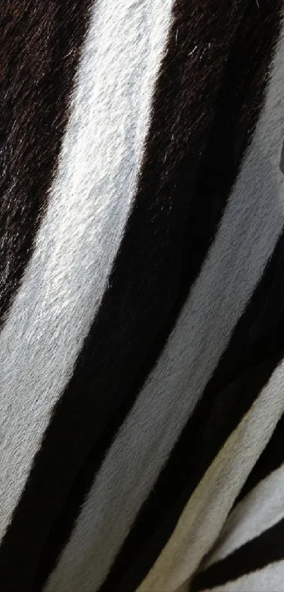 Close-up of zebra stripes creating a striking black and white pattern.