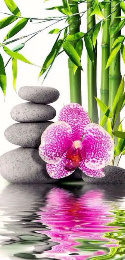 Zen-inspired wallpaper with bamboo, orchid, and stones.