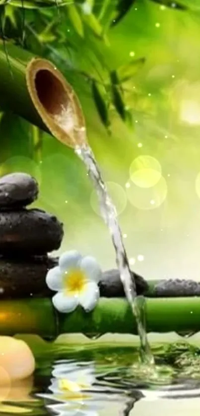 Zen bamboo and water with stones wallpaper.