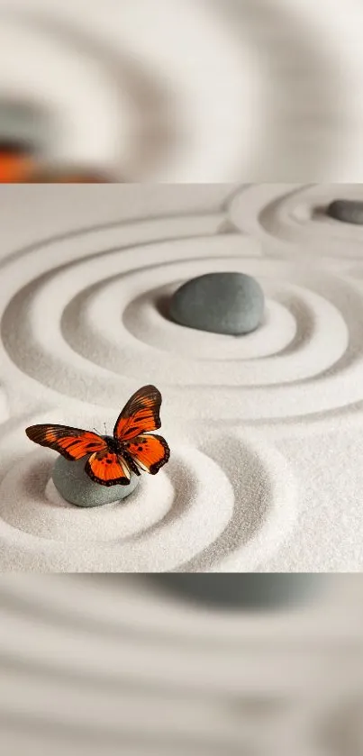 Serene Zen garden wallpaper with butterfly and stone ripples.