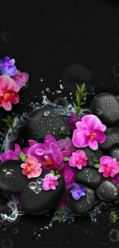 Black stones with vibrant flowers wallpaper.