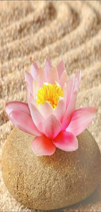 Pink lotus flower on stone in sand art design wallpaper.