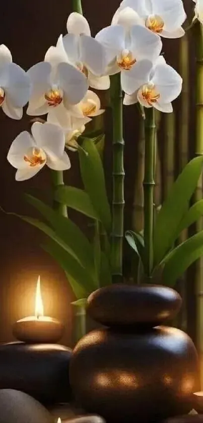 Elegant orchids and candles with bamboo in a calming wallpaper design.