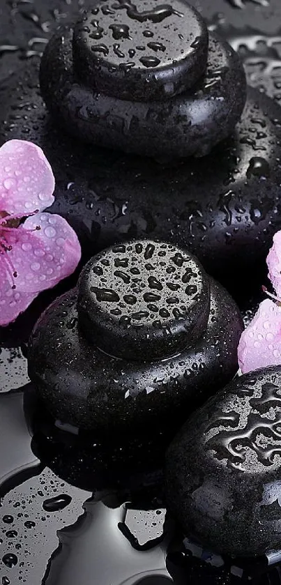 Zen stones and pink flowers on a wet surface.