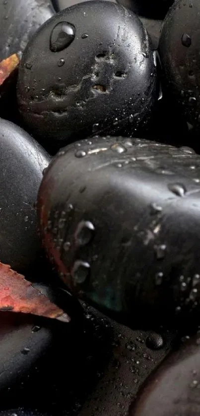 Black zen stones with a red maple leaf on top.